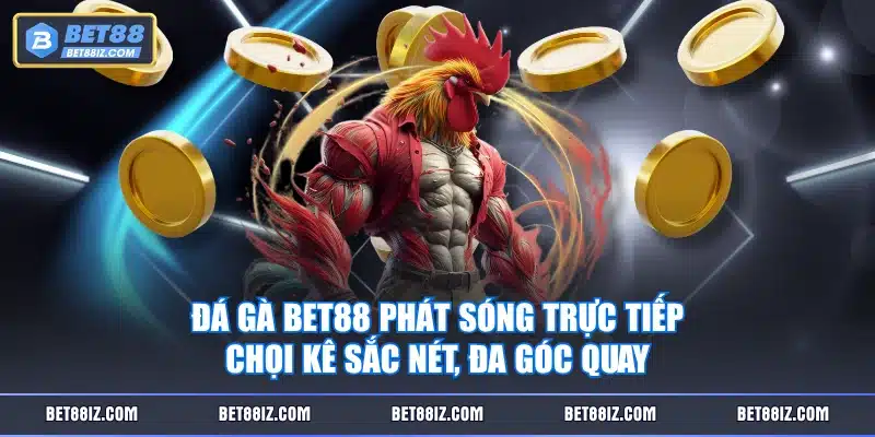 Đá Gà BET88 phát sóng trực tiếp chọi kê sắc nét, đa góc quay